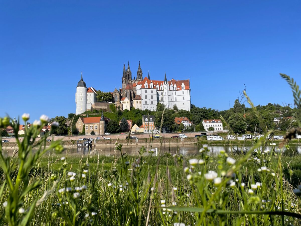 【アルブレヒト城】マイセン磁器の原点をたどる – ドイツ