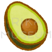 アボカドのイラスト