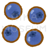 美味しそうなブルーベリーのイラスト