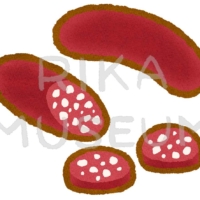 Blood sausage ドイツの血入りソーセージのイラスト