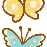 美しい蝶のイラスト