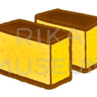 Japanese sponge cake brought to Japan by Portuguese merchants in the 16th century カステラのイラスト