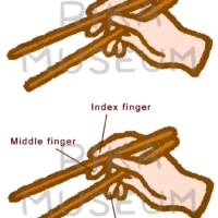 How to hold chopsticks お箸の持ち方のイラスト