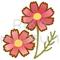 可愛いコスモスのイラスト