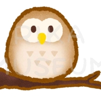 ふくろうのイラスト