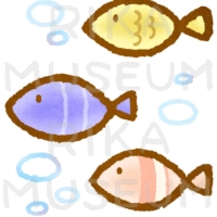 可愛い魚のイラスト