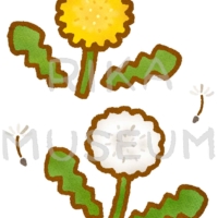 タンポポと綿毛のイラスト