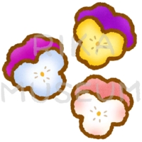Pansy / Viola 可愛いビオラのイラスト