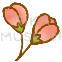 Flower bud ピンクのお花の蕾のイラスト