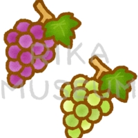 秋の味覚の葡萄とマスカットのイラスト