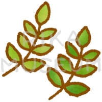 緑の茎と葉のイラスト