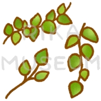 緑の茎と葉のイラスト
