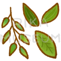 緑の茎と葉のイラスト