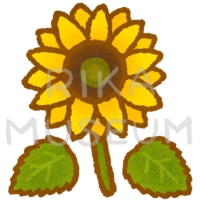 Sunflower 向日葵のイラスト