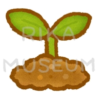 土から出てきた豆の木の若芽のイラスト