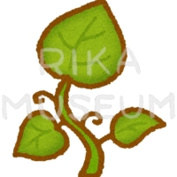 ジャックと豆の木の芽のイラスト