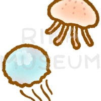 綺麗なクラゲのイラスト