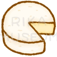 Camembert cheese 美味しそうなカマンベールチーズのイラスト