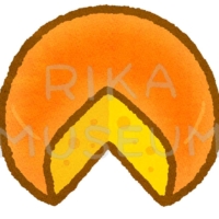 Mimolette 美味しそうなミモレットチーズのイラスト