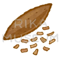 Bonito flakes 鰹節のイラスト