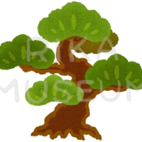 Pine tree 松の木のイラスト