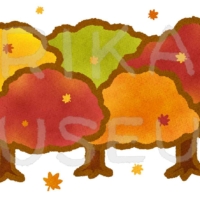 Colored leaves 美しい紅葉のイラスト