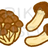 Shimeji mushroom and matsutake mushroom 秋の味覚のしめじと松茸のイラスト