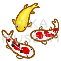 Varicolored carps 錦鯉のイラスト