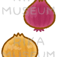 玉ねぎの可愛らしいイラスト