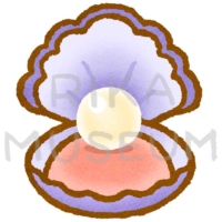 美しい貝殻の真珠のイラスト