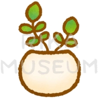 小さな植木鉢の観葉植物のイラスト