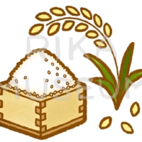 升に入ったお米と稲のイラスト