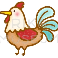 可愛いめんどりのイラスト