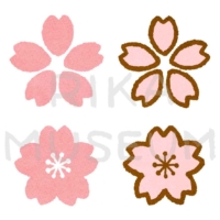 Cherry blossoms 桜の花のイラスト