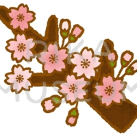 Cherry blossoms 美しい桜のイラスト