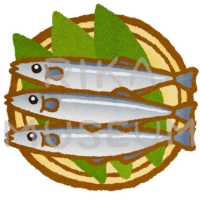 Pacific saury 秋刀魚のイラスト