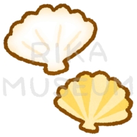 貝殻のイラスト