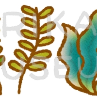 海藻のイラスト