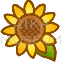 可愛いひまわりのイラスト