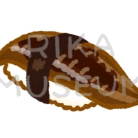 Conger eel sushi 穴子の寿司のイラスト