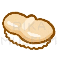 Scallop sushi 帆立の寿司