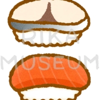 Saba and salmon しめ鯖とサーモンの寿司のイラスト