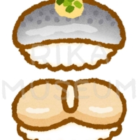 鰯と帆立の寿司のイラスト
