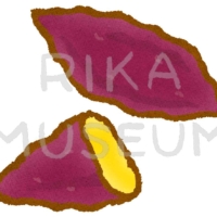 秋の味覚のさつまいものイラスト