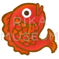 鯛のイラスト