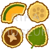 かぼちゃと椎茸と大葉と蓮根の天ぷらのイラスト