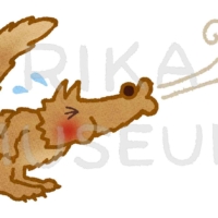 Wolf trying to blow the pig's house down 家を吹き飛ばそうとする狼のイラスト