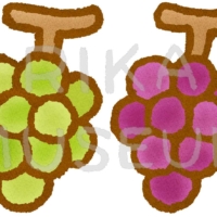 Grapes 美味しそうな葡萄とマスカットのイラスト