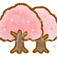 Cherry tree 美しい桜の木のイラスト