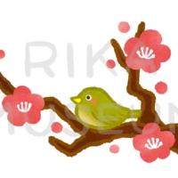 Japanese apricot tree and white-eye 梅の枝に止まったメジロのイラスト